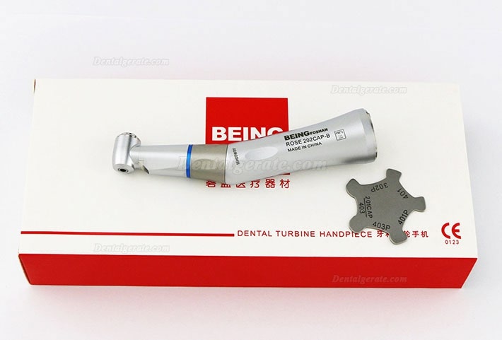 Being&reg; Rose 202-CA (PB) Faseroptisches Hand Winkelst&uuml;ck mit innerer Wassereinspritzung KAVO Kompatibel